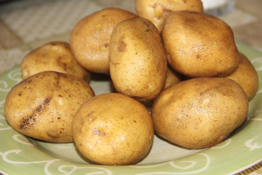 Similar image 21683518