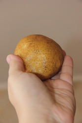 Similar image 21683519