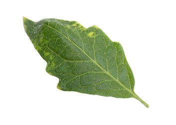 Similar image 21683520