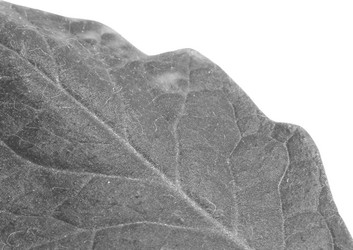 Similar image 21683521