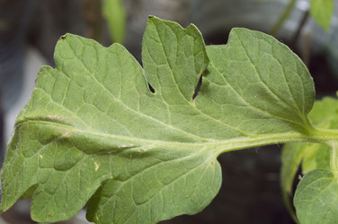 Similar image 21683522