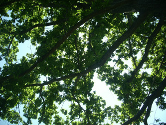 Similar image 21683401