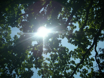 Similar image 21683402