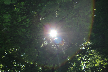 Similar image 21683403