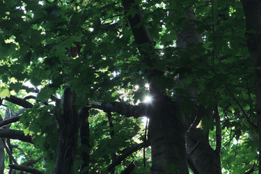 Similar image 21683404