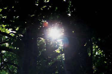 Similar image 21683405