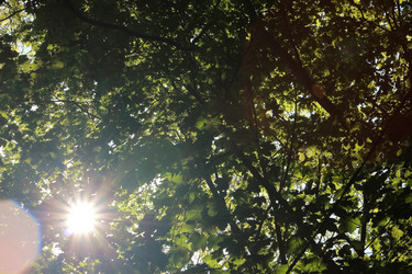 Similar image 21683407