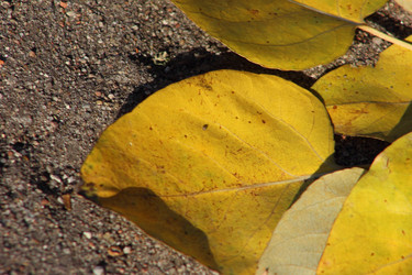 Similar image 21683408