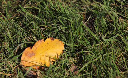 Similar image 21683409