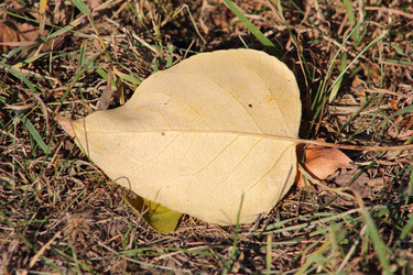 Similar image 21683410