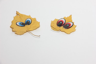 Similar image 21683411