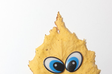 Similar image 21683413