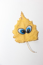 Similar image 21683414