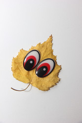 Similar image 21683415