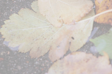 Similar image 21683416