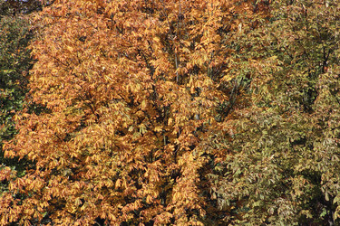 Similar image 21683417