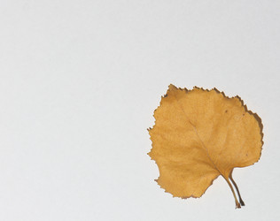 Similar image 21683418