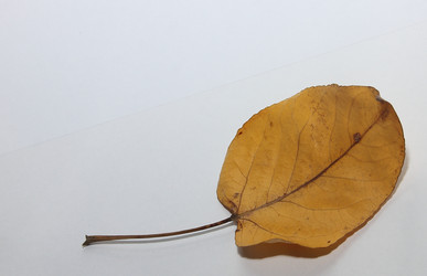 Similar image 21683419