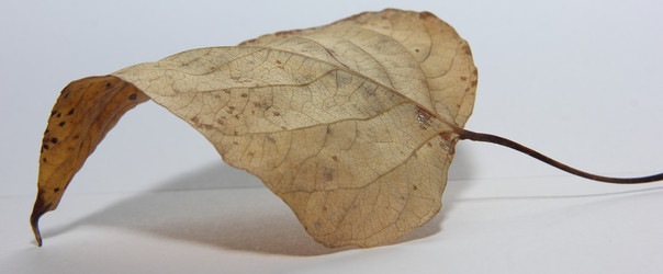 Similar image 21683524