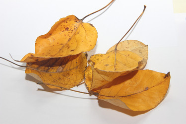 Similar image 21683526