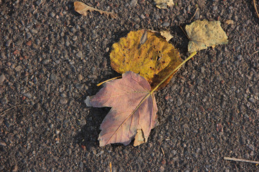 Similar image 21683528