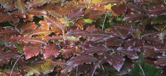 Similar image 21683530