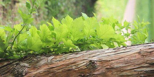 Similar image 21683420