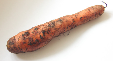 Similar image 21683534