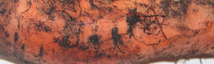 Similar image 21683535