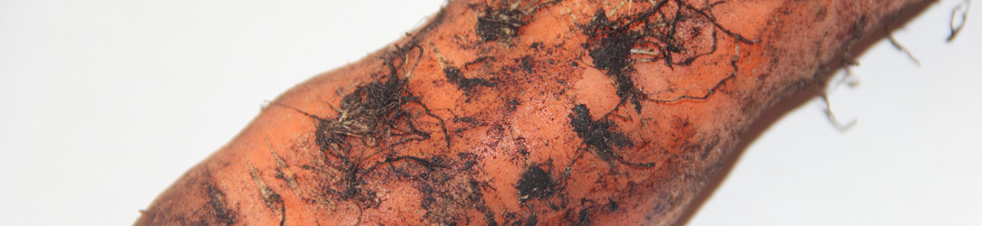 Similar image 21683537