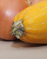 Similar image 21683540