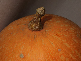 Similar image 21683541