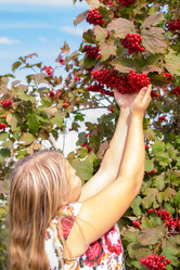 Similar image 21672313