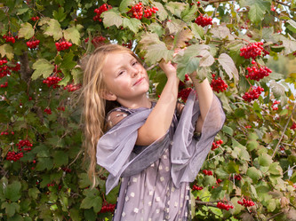 Similar image 21673687