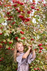 Similar image 21673691