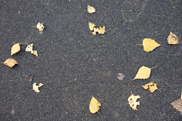 Similar image 21674727