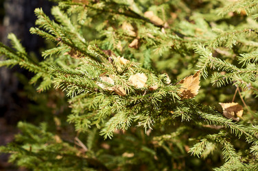 Similar image 21674732