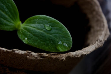 Similar image 21669091