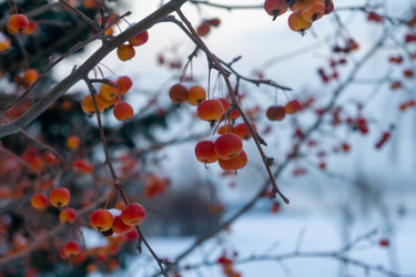 Similar image 21685358