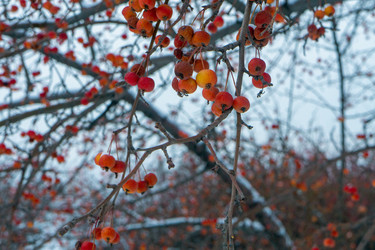 Similar image 21685359