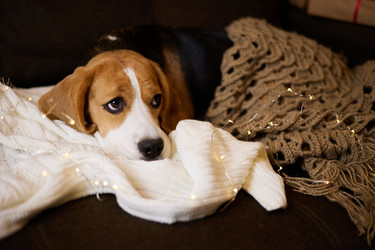 Similar image 21679611