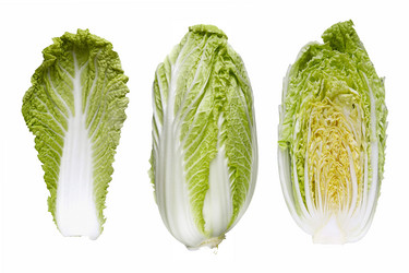 Similar image 21667794