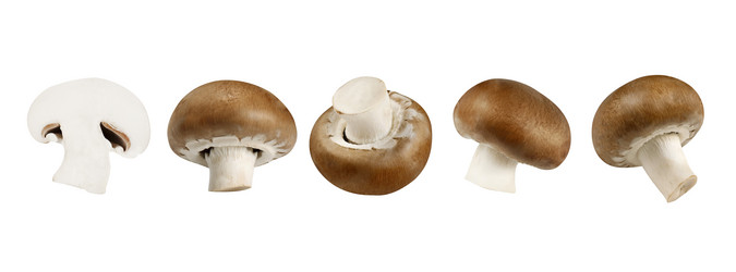 Similar image 21667807