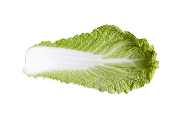 Similar image 21667821