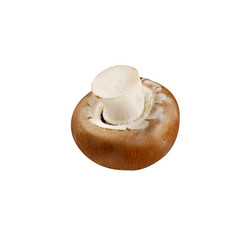 Similar image 21667830