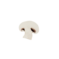 Similar image 21667831