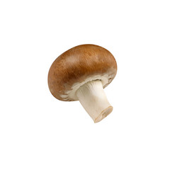 Similar image 21667832