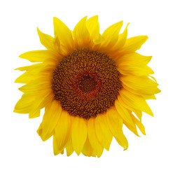 Similar image 21667841