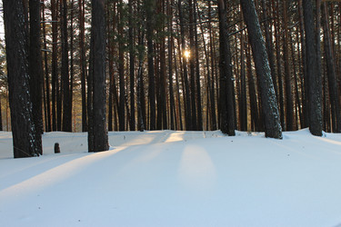 Similar image 21674888