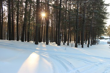 Similar image 21674741